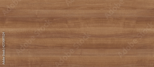 Cuadros en Lienzo Natural wood texture for interior