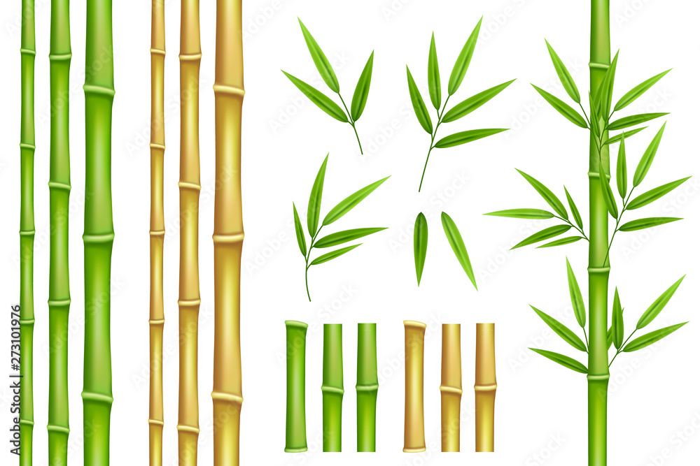 Bamboo green and brown decoration elements in realistic style. Seamless vertical borders from stems, isolated leaves and sticks and fresh natural plant. - obrazy, fototapety, plakaty 