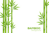 Fototapeta Sypialnia - Bamboo background with place for text. Realistic vector illustration with green bamboo stems with leaves.