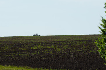 Wall Mural - cultivated field and tractor, countryside summer landscape