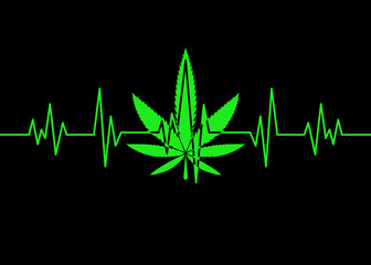 Marijuana leaf heartbeat pulse monitor. Vector illustration cardiogram concept. Green pulse outline with cannabis leaf on black background. For web, packaging, t shirt design, product, logo, graphic d