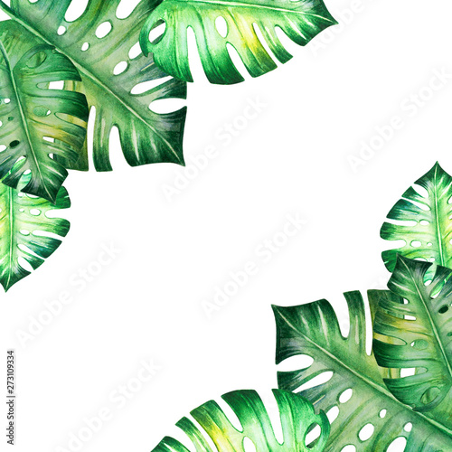 Beautiful tropical leaves frame. Monstera, palm. Watercolor painting. Exotic ...