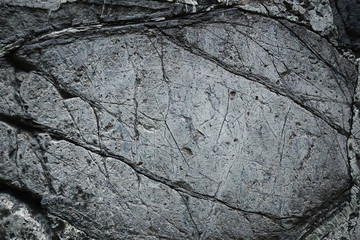 Sticker - Structure of surface of the stone, used as background. Cracked stone texture. Empty space