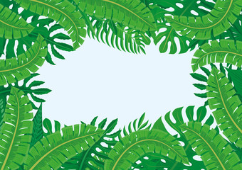 Wall Mural - Frame of tropical leaves on a blue background.
