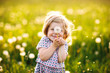 Leinwandbild Motiv Adorable cute little baby girl blowing on a dandelion flower on the nature in the summer. Happy healthy beautiful toddler child with blowball, having fun. Bright sunset light, active kid.