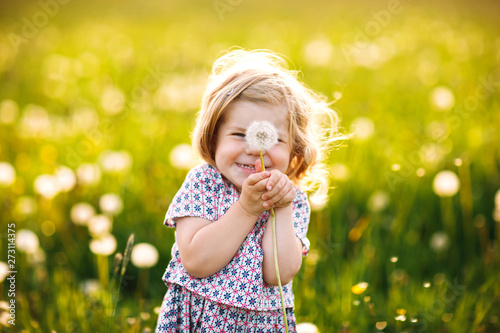 Adorable cute little baby girl blowing on a dandelion flower on the nature in the summer Fototapete