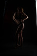 © Oleksandr - Young beautiful woman in a fashionable linen luxury blonde in the Studio.