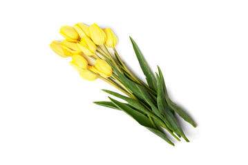 Wall Mural - Yellow tulips isolated on white background.