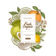 © Maria - Fresh citrus design template. Engraved style illustration. Orange, flowers, lemon, tangerine. Vector illustration