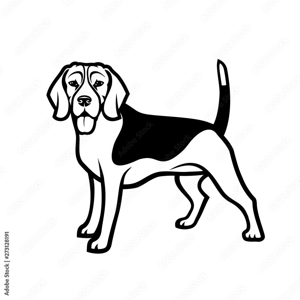 Beagle dog - isolated outlined vector illustration - Vector Stock ...