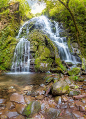 Poster - Waterfall in tropical forest