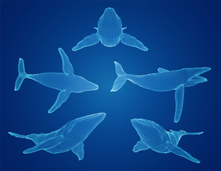 Wall Mural - 3d vector set. ocean protection. big blue whale