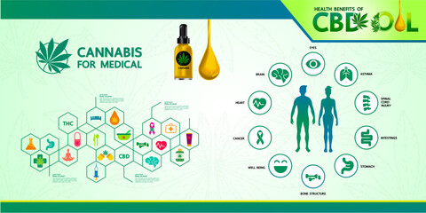 Cannabis benefits for health vector illustration.