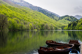 Fototapeta  - Montenegro, Pretty brown wooden rowboats anchoring on silent water of biogradsko glacial lake reflecting perfect nature landscape of biogradska gora national park