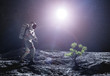 © Photocreo Bednarek - Astronaut exploring an alien planet. Green plant growing