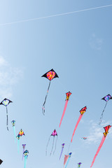 Wall Mural - kites with blue sky and white clouds
