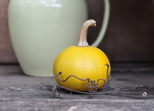 Still Life With A Yellow Ornamental Zucchini, A Light Yellow Jug And A Dried Vine.