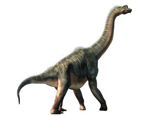 Aufkleber - Brachiosaurus was a sauropod dinosaur, one of the largest and most popular. It lived in during the Late Jurassic Period. On a white background. 3D Rendering