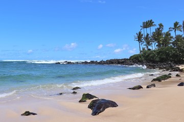 Wall Mural - Beautiful beach area on the North Shore in Hawaii; 