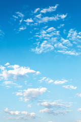 Wall Mural - beautiful summer sky background. lots of white fluffy clouds on the blue sky. vivid nature backgroun