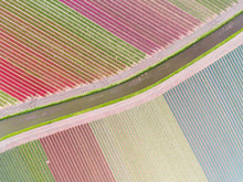 Aerial View Of Colorful Tulip Fields