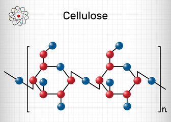 Sticker - Cellulose polysaccharide molecule. Sheet of paper in a cage. Structural chemical formula. Vector illustration.