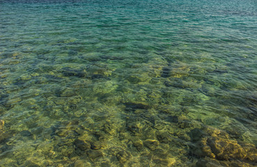 Wall Mural - green shallow water near shore line background foreshortening from above