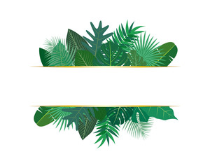 Wall Mural - Vector illustration of various exotic green tropical leaves with banner on white background