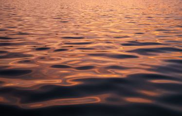 Wall Mural - calm water surface background at the sunset with copy space