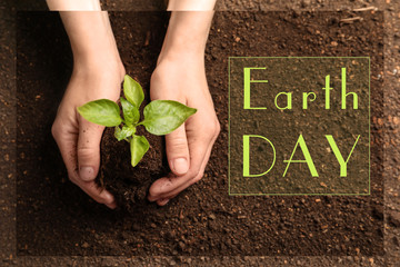 Woman holding green seedling on soil, top view. Earth Day