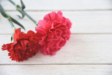 Sticker - Red and pink carnation flower blooming on white wooden