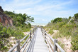 wooden bridge going to the beach