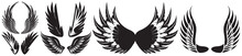 Vector Monochrome Set Of Different Wings For Design