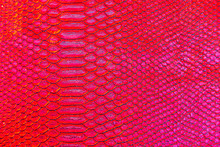 Red Snake Or Dragon Scale Texture Print