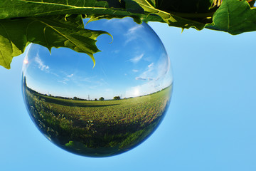 abstract globe