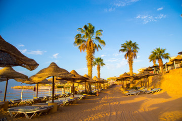 SHARM EL SHEIKH, EGYPT - March 18, 2019: Red Sea Coast, Concord Hotel. Beach with umbrellas, sun beds and palm trees. Background tourism and travel. Rest and vacation.