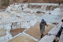 Peru,Cusco,Ollantaytambo.Maras Salt Evaporation Ponds In Cusco,Ollantaytambo.
