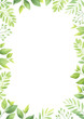 Floral frame template. Green leaves border. Vector illustration.