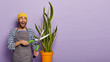 Positive young male gardener takes care of indoor plant, dressed in casual striped jumper and apron, has happy expression, uses pruning shears. Experienced florist with sansevieria plant in pot