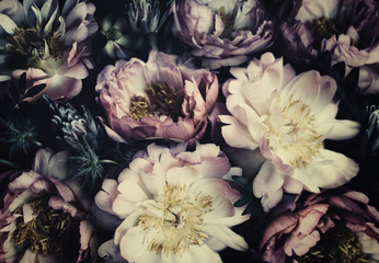 Wall Mural - vintage bouquet of beautiful peonies on black. floristic decoration. floral background. baroque old 