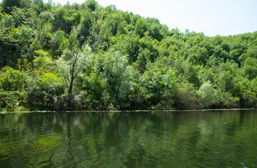 Wild Nature in Skadar Lake