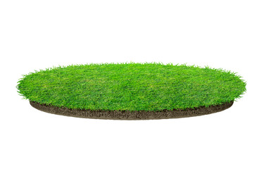 Fototapete - Abstract green grass texture for background. Circle green grass pattern isolated on a white background.