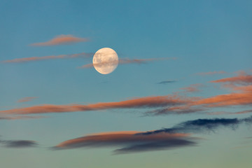 Poster - Canberra Moonrise
