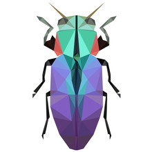 Colorful Polygonal Illustration Of A Violet Bug, Beetle, Insect
