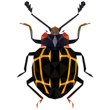 Colorful Polygonal Illustration Of A Black Bug, Beetle, Insect With Yellow Stripes