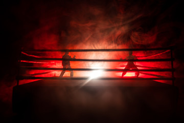 Wall Mural - Blurred background. mma fight octagon stage. ring extreme Sport mixed martial arts competition tournament