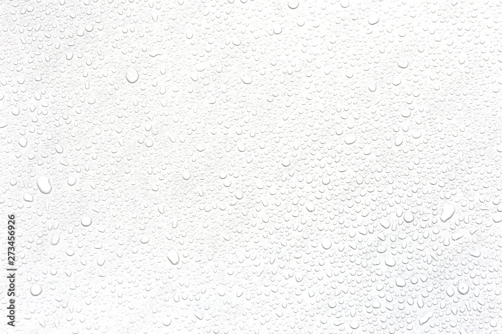 Water rain drops isolated on white background. - obrazy, fototapety, plakaty 
