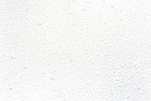 Water Rain Drops Isolated On White Background.