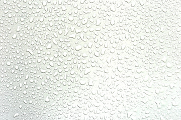 Water droplets on a gray background