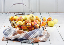Ripe Tasty Fresh Apricots And Apples In  Woven Metal Basket